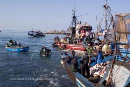 Image du Maroc Professionnelle de  Quelques ouvriers s'activent sur les bateaux de pêches à leur arrivée au port de Laayoune, située à quelque kilomètre de la ville de Laayoune capitale du Sahara marocain, Vendredi 21 Septembre 2001. (Photo / Abdeljalil Bounhar) 